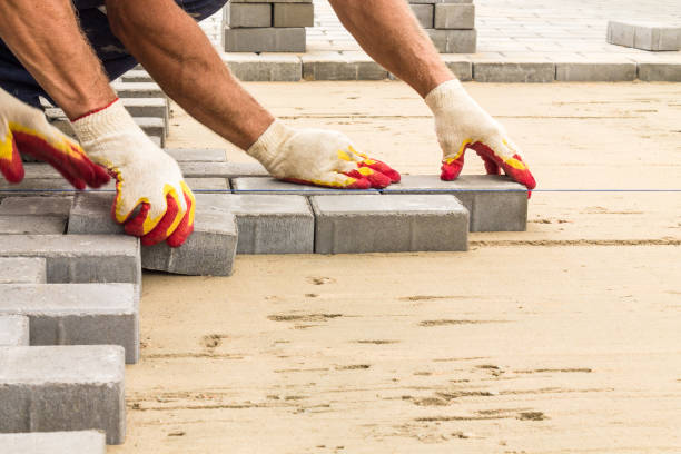 Best Commercial Driveway Paving in Dwight, IL